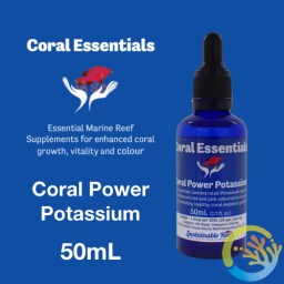 Coral Power Potassium